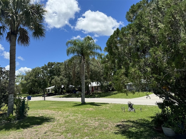 4029 E Sunflower Cir, Labelle, FL 33935 - view of home's community with a yard