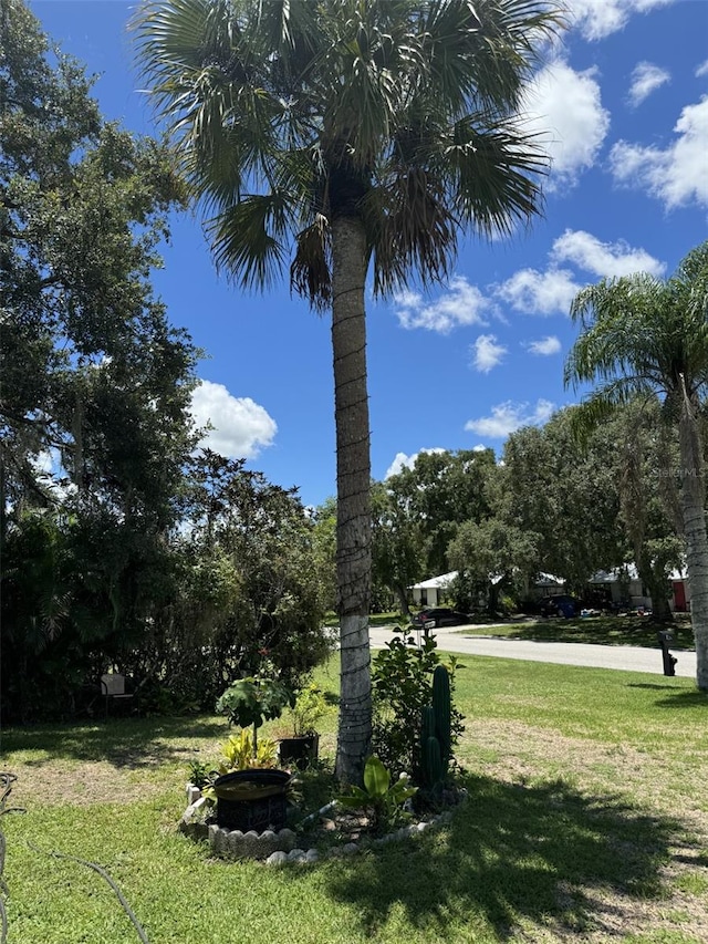 4029 E Sunflower Cir, Labelle, FL 33935 - view of yard