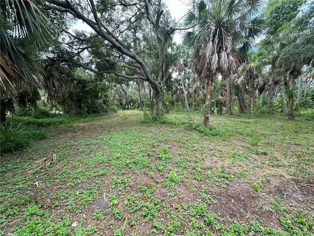 Van Gogh Rd, Englewood, FL 34223 - photo 5