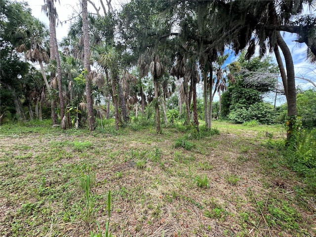 Van Gogh Rd, Englewood, FL 34223 - photo 6