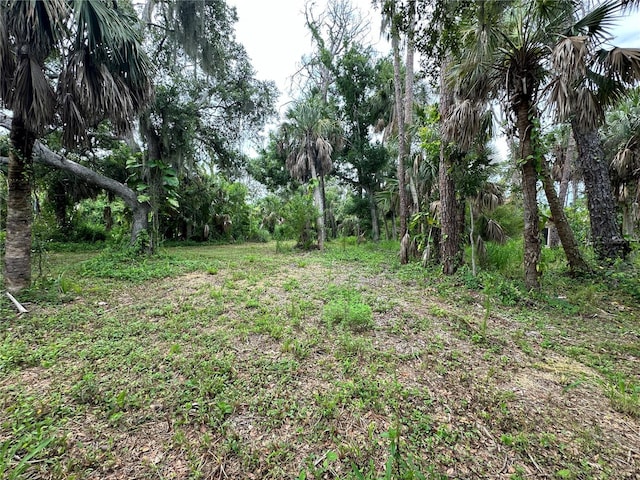 Van Gogh Rd, Englewood, FL 34223 - photo 7