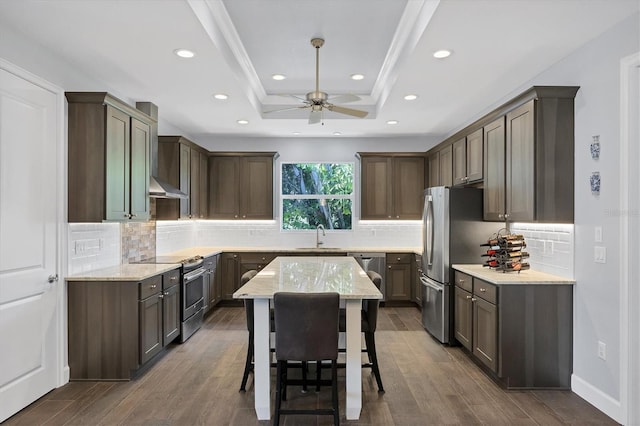 kitchen with wood-type flooring, tasteful backsplash, a raised ceiling, and stainless steel appliances