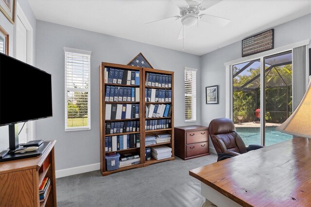 office space featuring carpet and ceiling fan