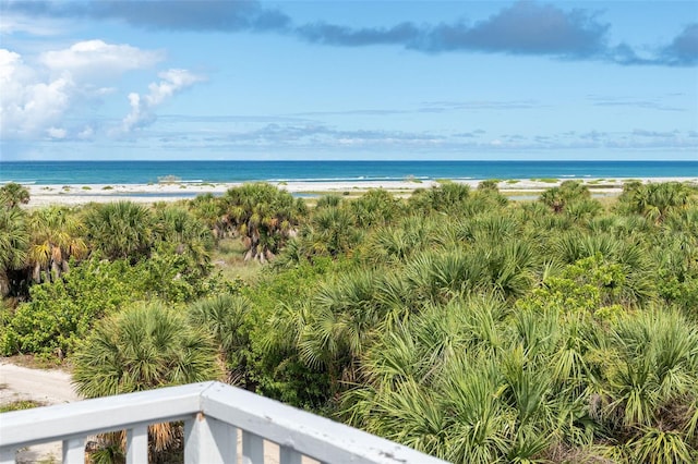 property view of water featuring a beach view