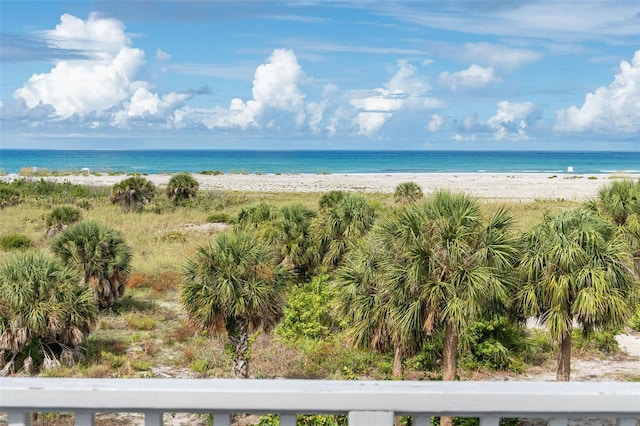 water view with a view of the beach