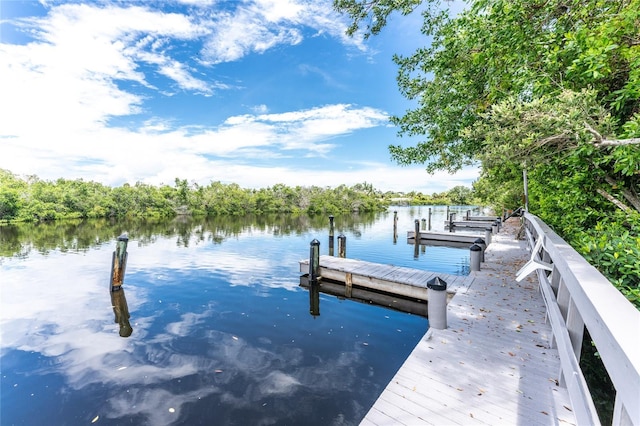 dock area with a water view