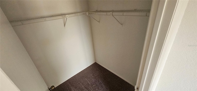 spacious closet featuring carpet floors