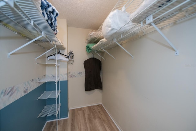 spacious closet featuring wood-type flooring