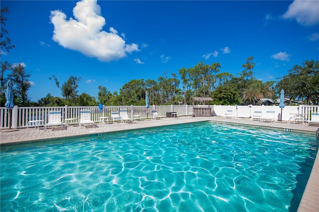 view of swimming pool featuring a patio