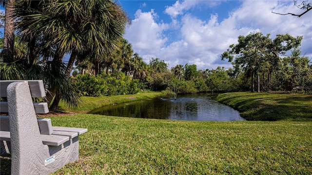 property view of water