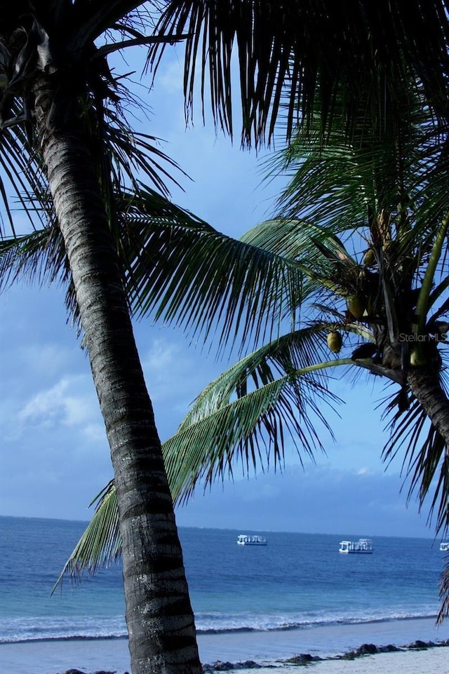 view of water feature with a beach view