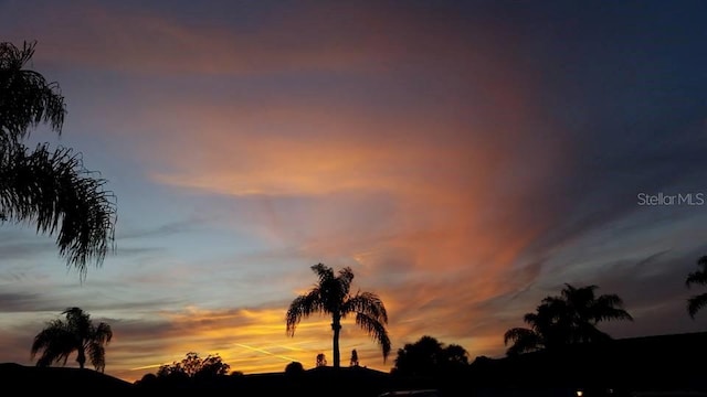 view of nature at dusk