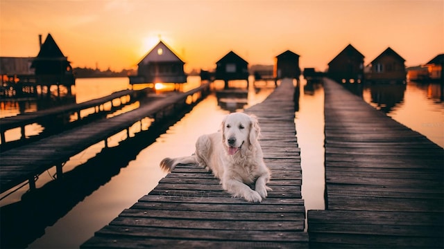 view of dock with a water view