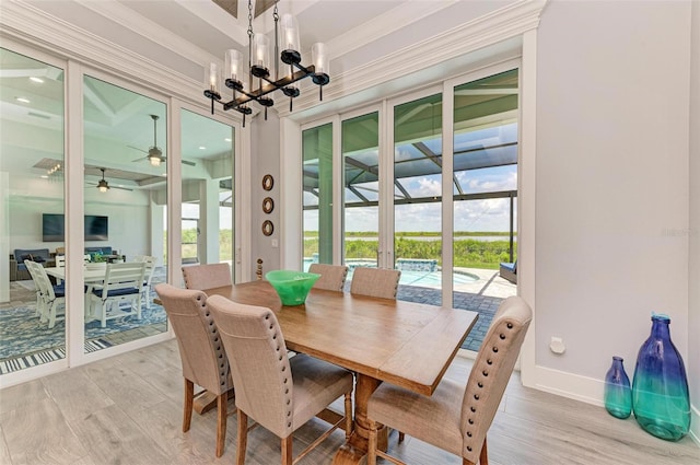 dining room with ceiling fan, plenty of natural light, and light wood-type flooring