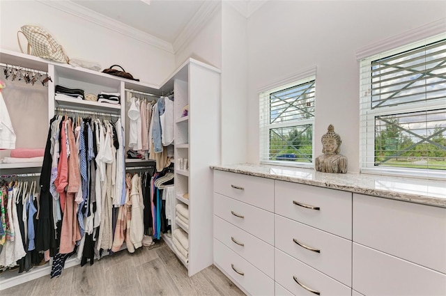 spacious closet with light hardwood / wood-style flooring