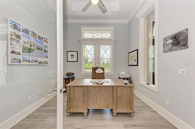 office featuring ceiling fan, light hardwood / wood-style floors, and ornamental molding