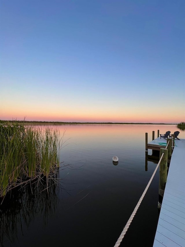 dock area with a water view