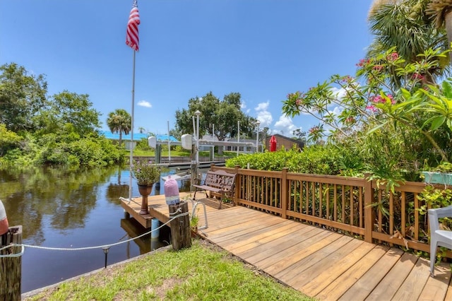 dock area with a water view