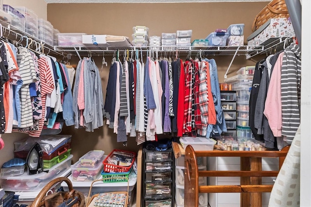 view of walk in closet