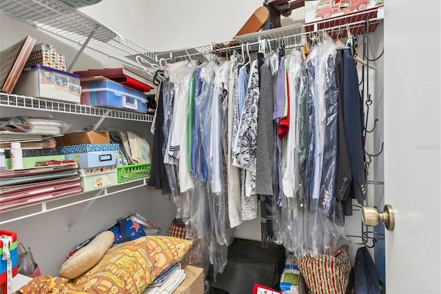 view of spacious closet