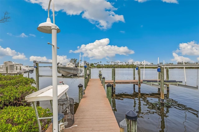 dock area with a water view