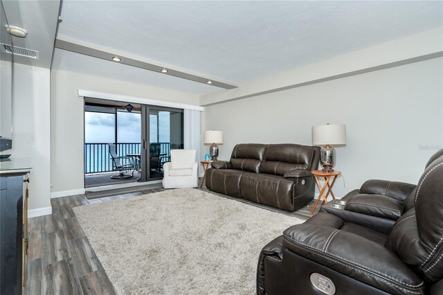 living room featuring dark hardwood / wood-style flooring