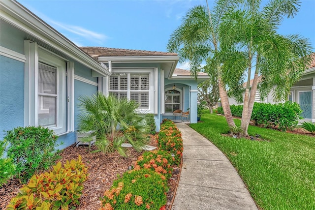 entrance to property featuring a lawn