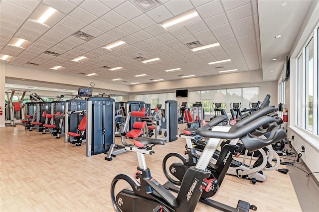 workout area with light hardwood / wood-style flooring, a healthy amount of sunlight, and a paneled ceiling