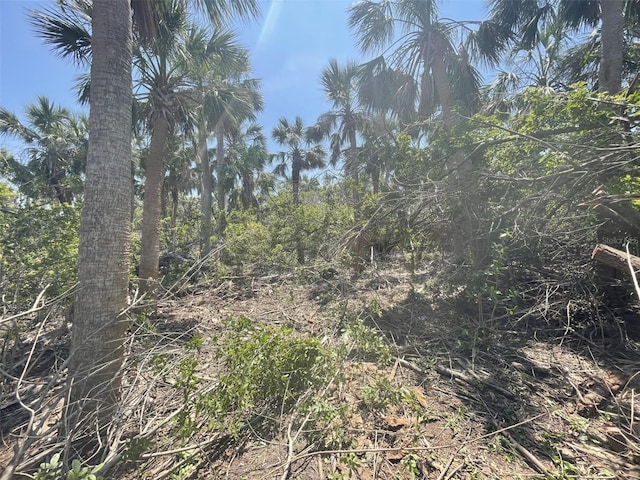 Palm Point Way, Placida, FL 33946 - photo 9