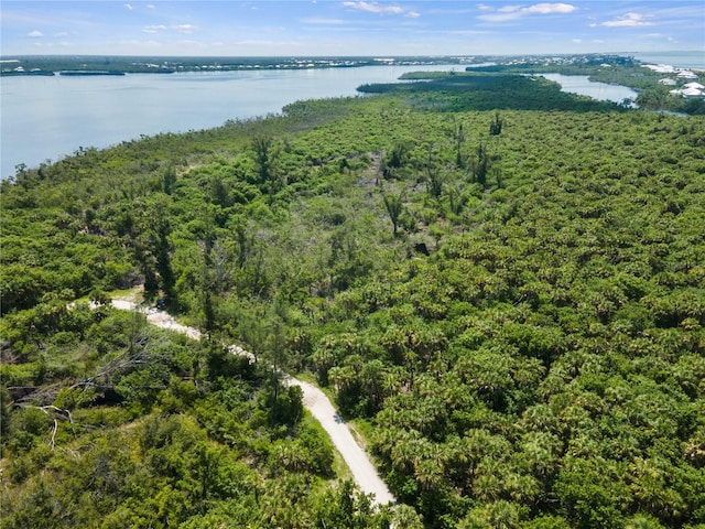 Listing photo 3 for Palm Point Way, Placida FL 33946