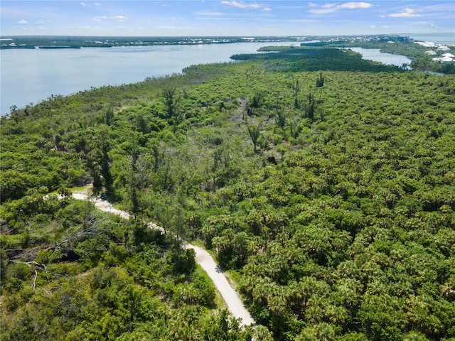 Palm Point Way, Placida, FL 33946 - photo 3