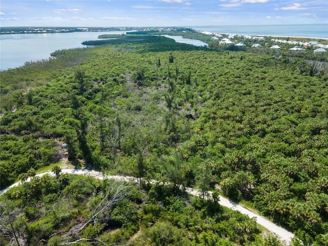 Palm Point Way, Placida, FL 33946 - photo 4
