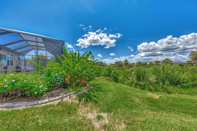 view of yard featuring a lanai