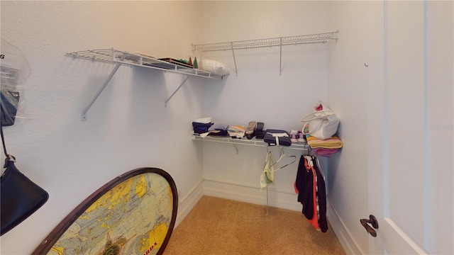 spacious closet featuring light carpet