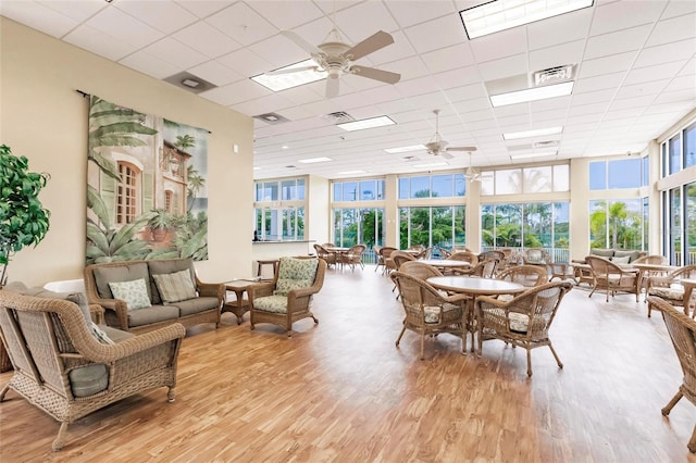 interior space with expansive windows, a drop ceiling, ceiling fan, and light hardwood / wood-style floors