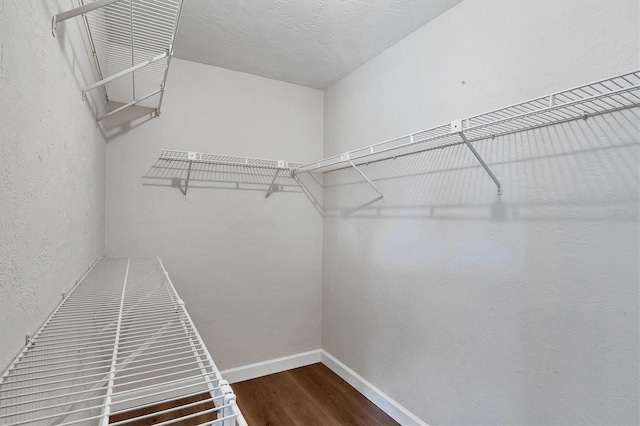 walk in closet featuring wood finished floors