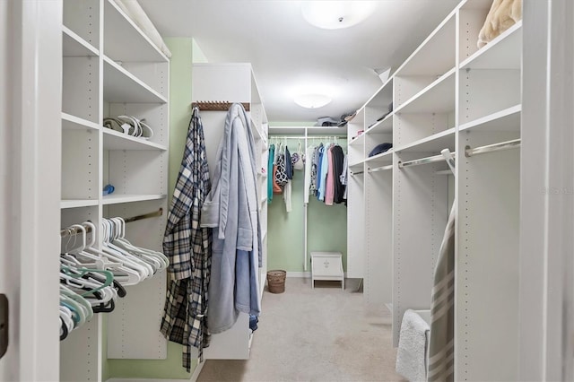 walk in closet featuring carpet flooring