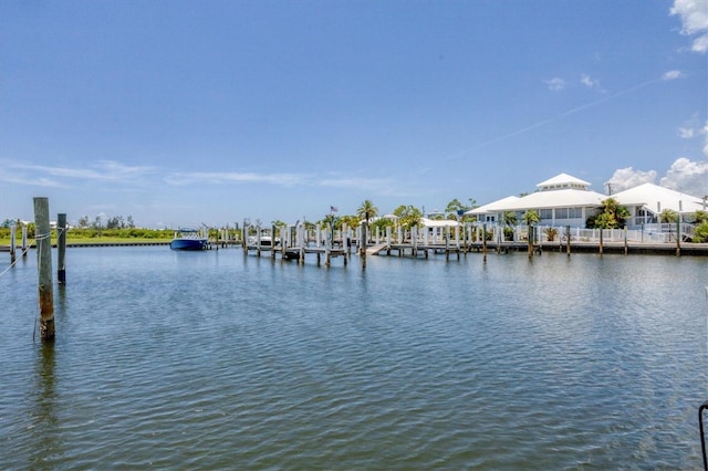 water view featuring a boat dock