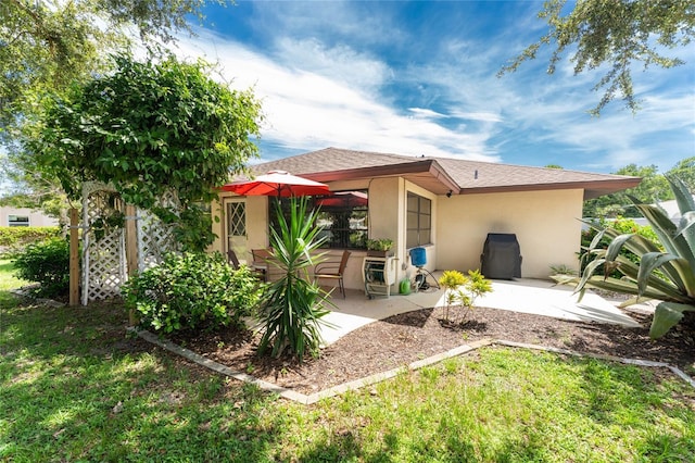 back of house with a patio area, a lawn, and stucco siding