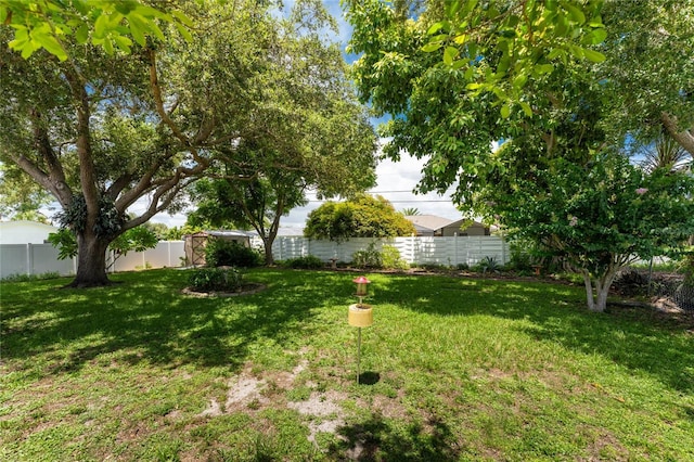 view of yard featuring a fenced backyard