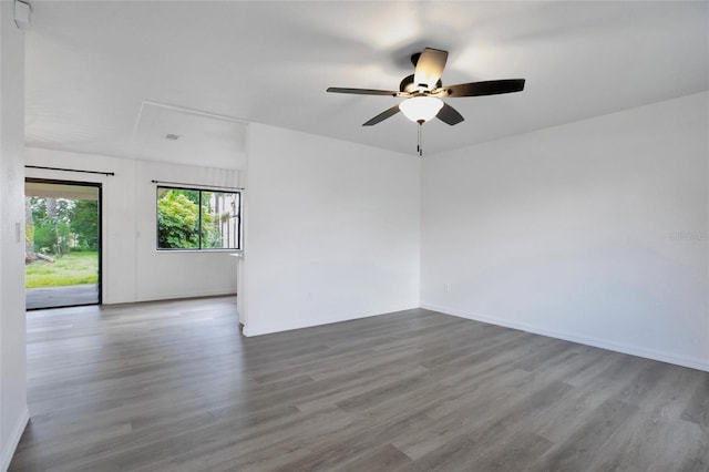 empty room with ceiling fan and wood-type flooring