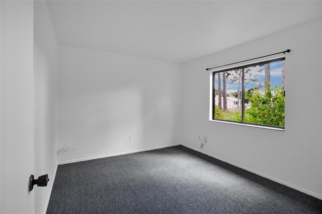 spare room featuring carpet floors