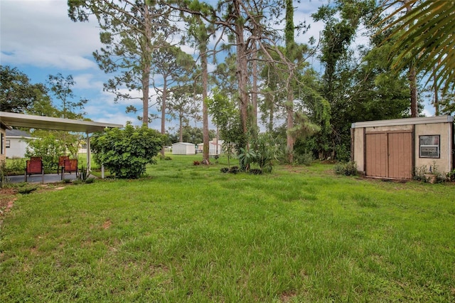 view of yard with a storage shed