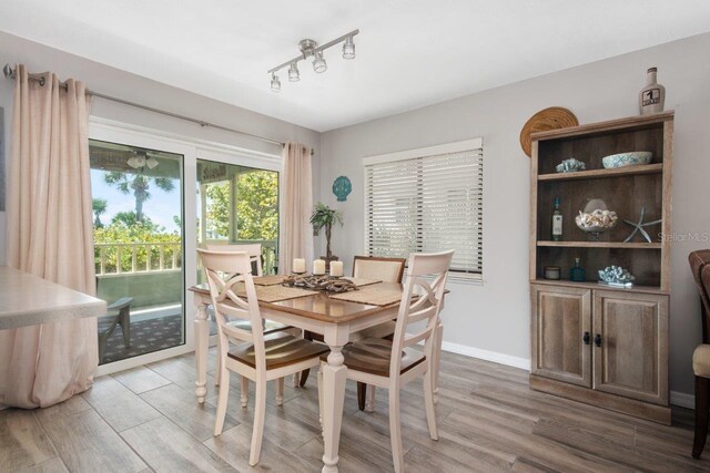 dining space featuring wood-type flooring and rail lighting