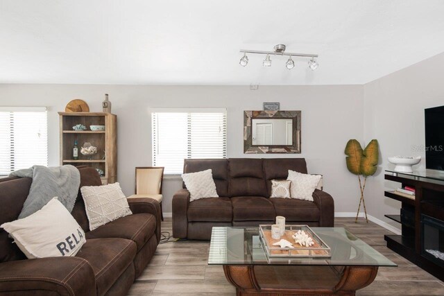 living room featuring light hardwood / wood-style flooring and rail lighting