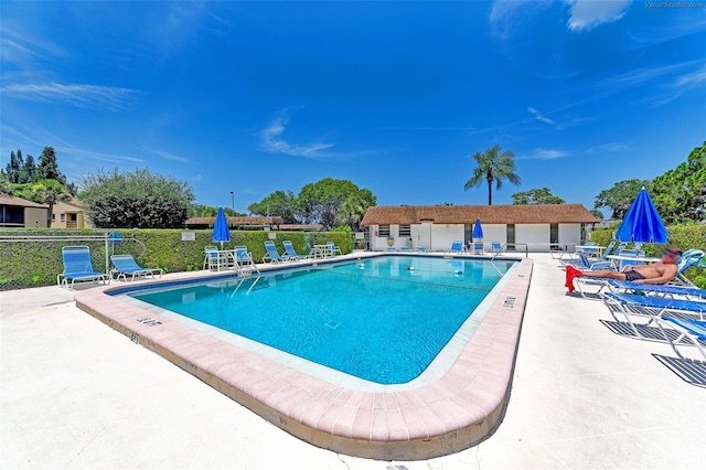 view of pool with a patio area