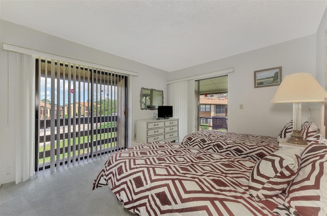 bedroom with access to outside, a textured ceiling, and a closet