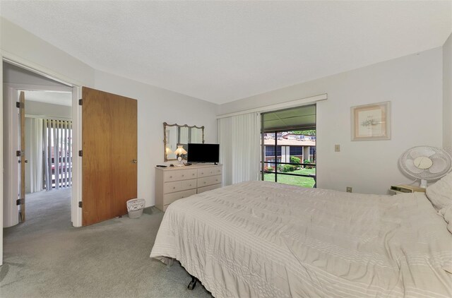 bedroom with access to exterior and carpet floors