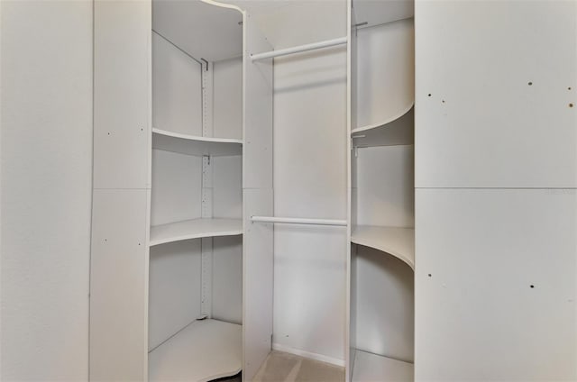 view of spacious closet