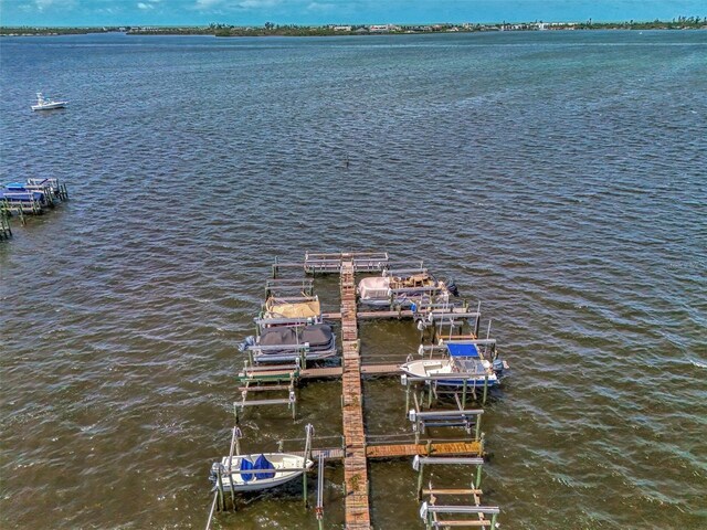 dock area with a water view